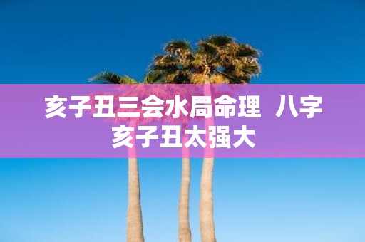 亥子丑三会水局命理 八字亥子丑太强大