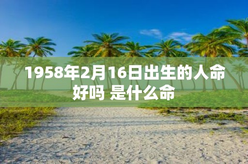 1958年2月16日出生的人命好吗 是什么命