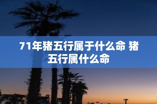 71年猪五行属于什么命 猪五行属什么命