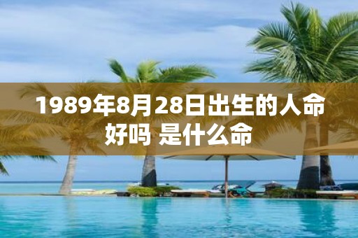 1989年8月28日出生的人命好吗 是什么命