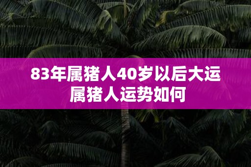 83年属猪人40岁以后大运 属猪人运势如何