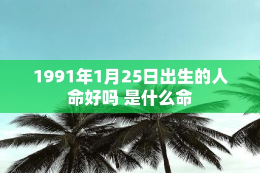 1991年1月25日出生的人命好吗 是什么命