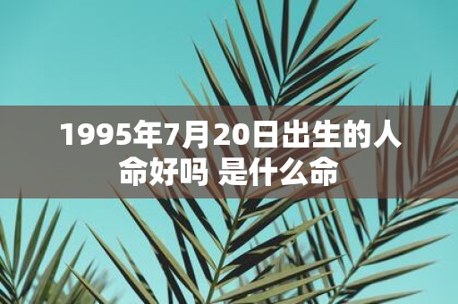 1995年7月20日出生的人命好吗 是什么命