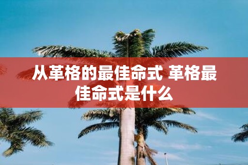 从革格的最佳命式 革格最佳命式是什么