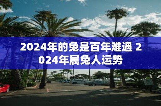 2025年的兔是百年难遇 2025年属兔人运势