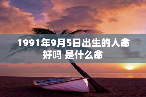 1991年9月5日出生的人命好吗 是什么命