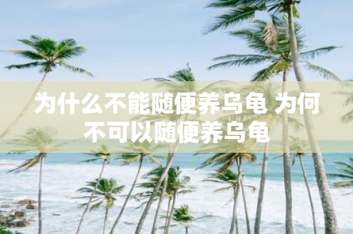 为什么不能随便养乌龟 为何不可以随便养乌龟