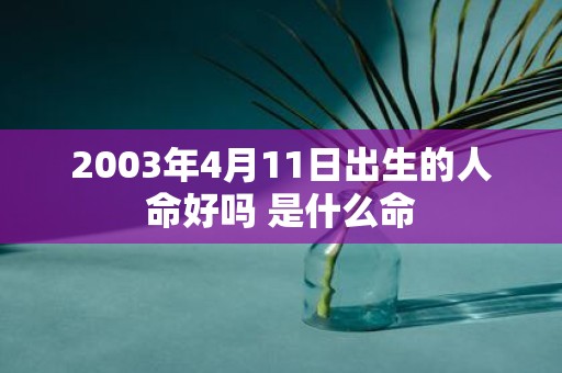 2003年4月11日出生的人命好吗 是什么命