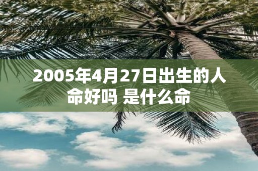 2005年4月27日出生的人命好吗 是什么命