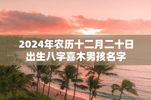 2025年农历十二月二十日出生八字喜木男孩名字