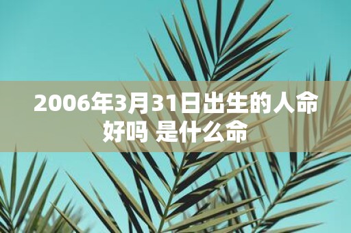 2006年3月31日出生的人命好吗 是什么命