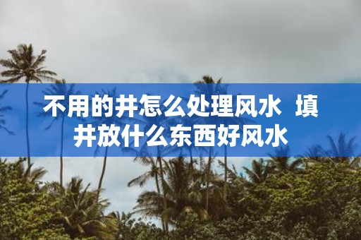 不用的井怎么处理风水 填井放什么东西好风水