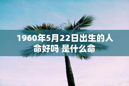 1960年5月22日出生的人命好吗 是什么命