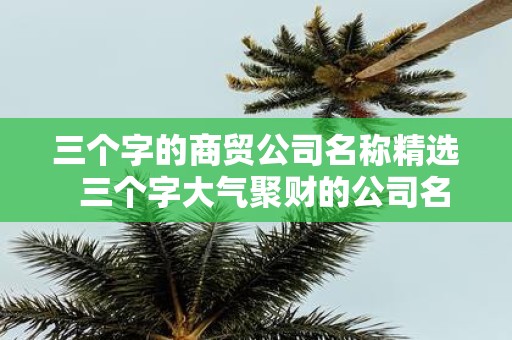 三个字的商贸公司名称精选 三个字大气聚财的公司名称