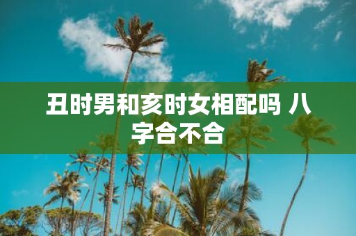 丑时男和亥时女相配吗 八字合不合