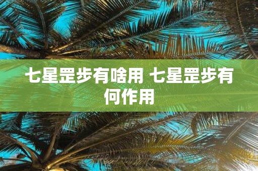 七星罡步有啥用 七星罡步有何作用