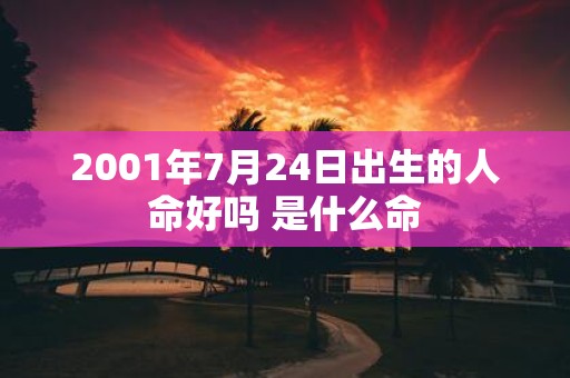2001年7月24日出生的人命好吗 是什么命
