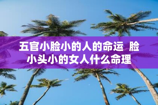 五官小脸小的人的命运 脸小头小的女人什么命理