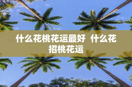 什么花桃花运最好 什么花招桃花运