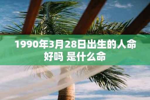 1990年3月28日出生的人命好吗 是什么命