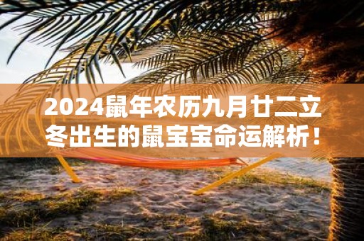 2025鼠年农历九月廿二立冬出生的鼠宝宝命运解析！