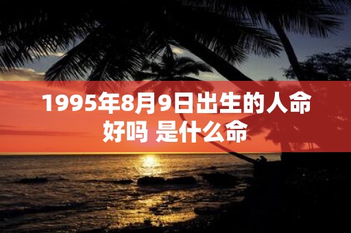 1995年8月9日出生的人命好吗 是什么命