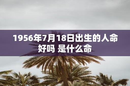1956年7月18日出生的人命好吗 是什么命
