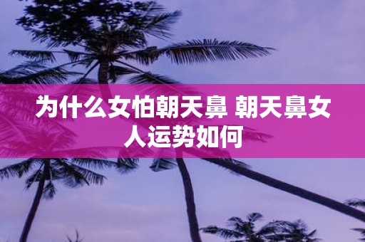 为什么女怕朝天鼻 朝天鼻女人运势如何
