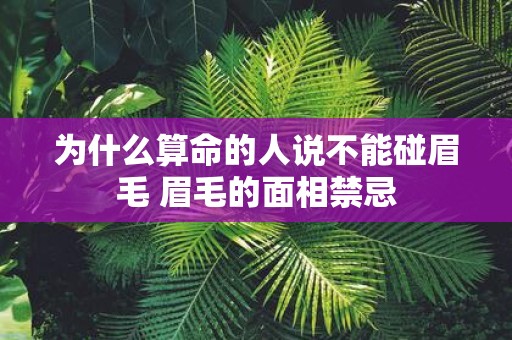 为什么算命的人说不能碰眉毛 眉毛的面相禁忌