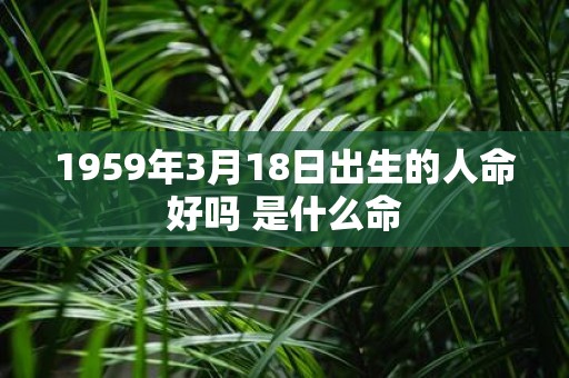 1959年3月18日出生的人命好吗 是什么命