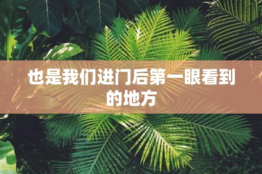 也是我们进门后第一眼看到的地方