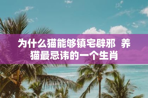 为什么猫能够镇宅辟邪 养猫最忌讳的一个生肖
