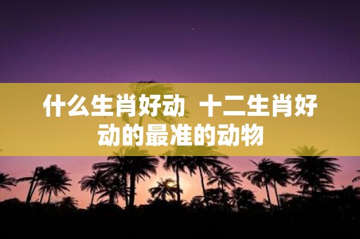 什么生肖好动 十二生肖好动的最准的动物
