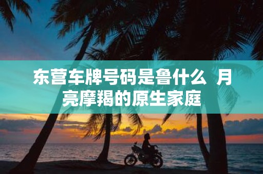 东营车牌号码是鲁什么 月亮摩羯的原生家庭