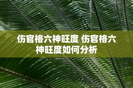 伤官格六神旺度 伤官格六神旺度如何分析
