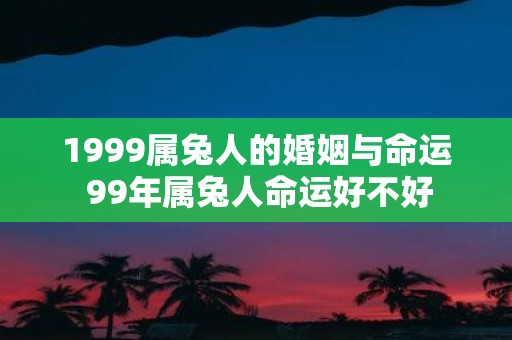 1999属兔人的婚姻与命运 99年属兔人命运好不好