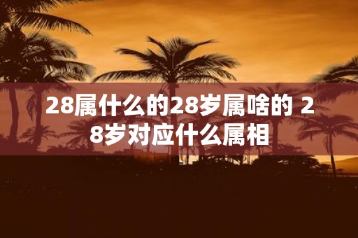 28属什么的28岁属啥的 28岁对应什么属相