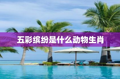 五彩缤纷是什么动物生肖