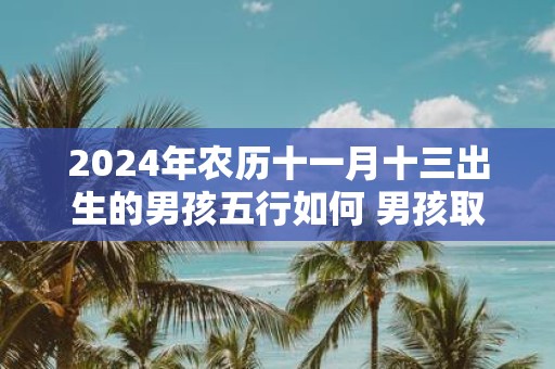 2025年农历十一月十三出生的男孩五行如何 男孩取什么名字好