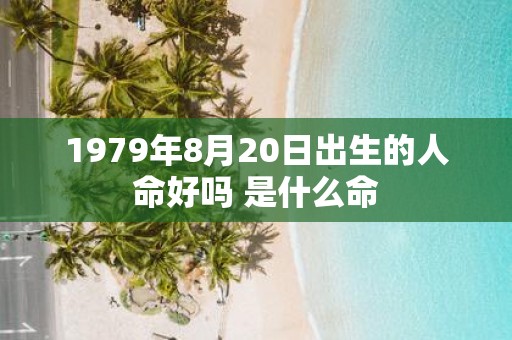 1979年8月20日出生的人命好吗 是什么命