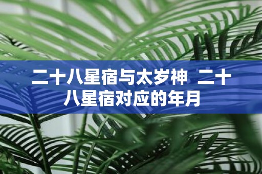 二十八星宿与太岁神 二十八星宿对应的年月