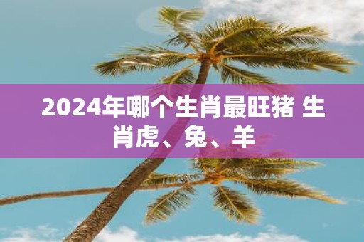 2025年哪个生肖最旺猪 生肖虎、兔、羊