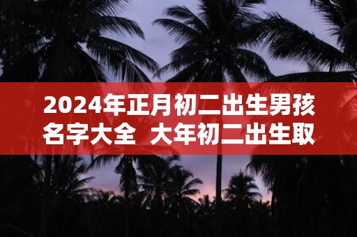 2025年正月初二出生男孩名字大全 大年初二出生取名