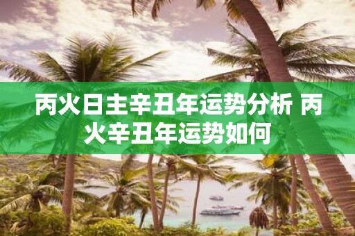 丙火日主辛丑年运势分析 丙火辛丑年运势如何