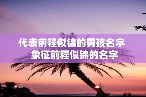 代表前程似锦的男孩名字 象征前程似锦的名字