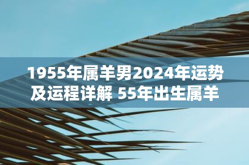 1955年属羊男2025年运势及运程详解 55年出生属羊人2025全年每月运势男性