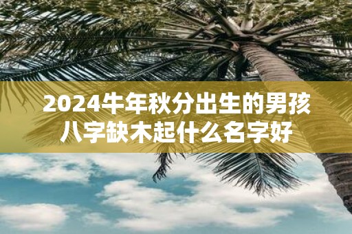 2025牛年秋分出生的男孩八字缺木起什么名字好