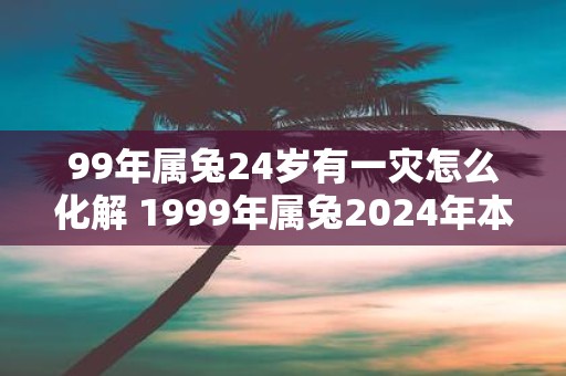 99年属兔24岁有一灾怎么化解 1999年属兔2025年本命年命运如何