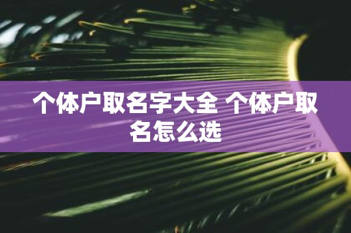 个体户取名字大全 个体户取名怎么选