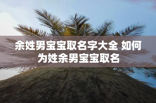 余姓男宝宝取名字大全 如何为姓余男宝宝取名